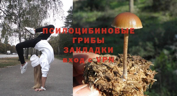 ПСИЛОЦИБИНОВЫЕ ГРИБЫ Балахна