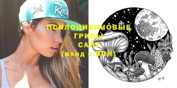 стаф Нефтекумск