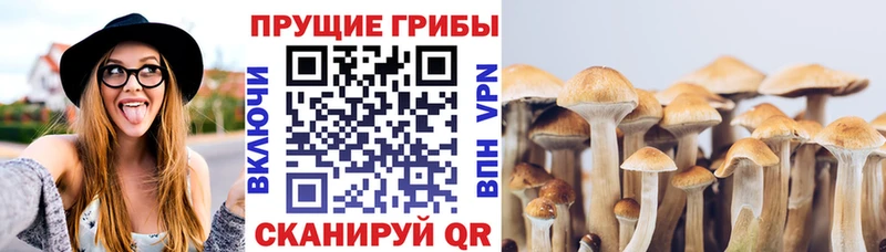 Галлюциногенные грибы мицелий  площадка какой сайт  Нурлат  купить  